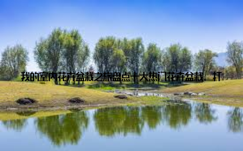 我的室内花卉盆栽之旅盘点十大热门花卉盆栽, 打造绿色新时尚嘿, 亲爱的朋友们, 今天我要和大家分享一段特别的经历, 那就是我的室内花卉盆栽之旅
