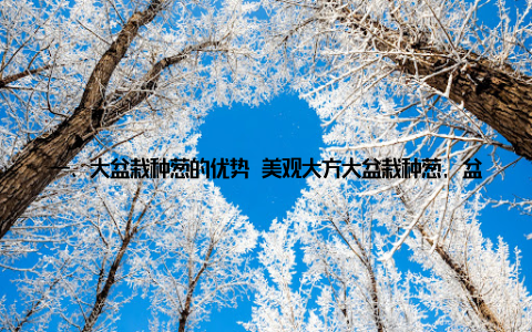 一、大盆栽种葱的优势 美观大方大盆栽种葱, 盆栽造型多样, 色彩鲜明, 为家居环境增添了一抹亮丽的风景