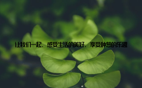 让我们一起, 感受生活的美好, 享受种葱的乐趣吧! 在这个快节奏的时代, 让我们放慢脚步, 回归自然, 从种一盆葱开始, 感受生活的美好