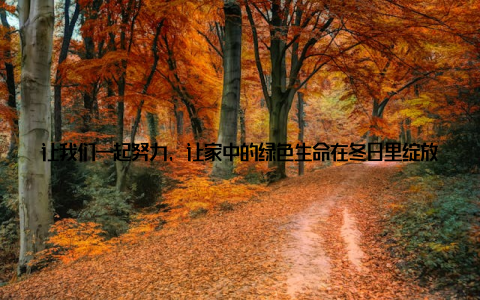 让我们一起努力, 让家中的绿色生命在冬日里绽放光彩! 关键词冬天盆栽怎么养, 绿植过冬秘籍在这个寒冷的冬季, 让我们一起用心呵护这些陪伴我们的绿植, 让它们成为我们生活中的一抹温暖
