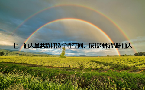 七、仙人掌盆栽打造个性空间, 展现独特品味仙人掌盆栽的形态各异, 可以根据自己的喜好和家居风格进行搭配