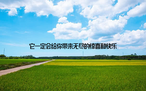 它一定会给你带来无尽的惊喜和快乐