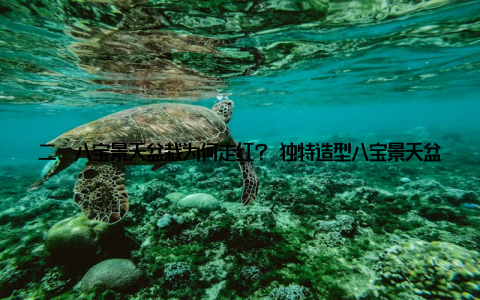 二、八宝景天盆栽为何走红? 独特造型八宝景天盆栽的叶片形状各异, 犹如一幅精美的画卷, 给人以视觉上的享受