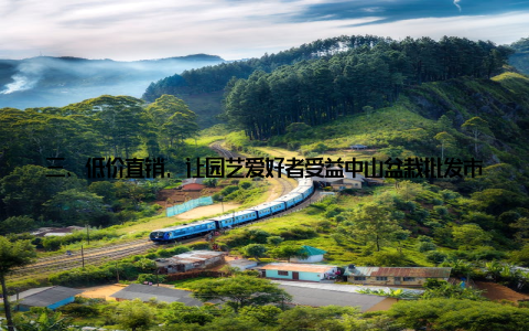 三、低价直销, 让园艺爱好者受益中山盆栽批发市场以低价直销为宗旨, 为广大消费者提供物美价廉的盆栽产品