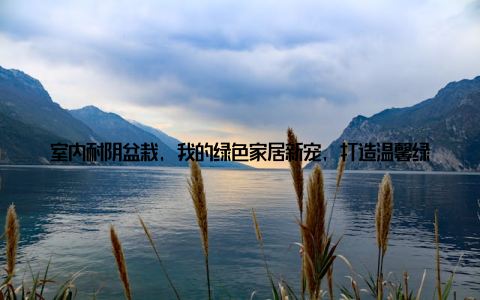 室内耐阴盆栽, 我的绿色家居新宠, 打造温馨绿意盎然的家! 大家好, 我是小杨, 一个热爱生活的室内植物爱好者