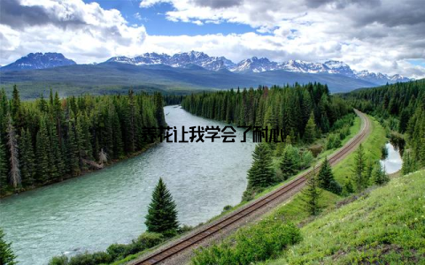 养花让我学会了耐心