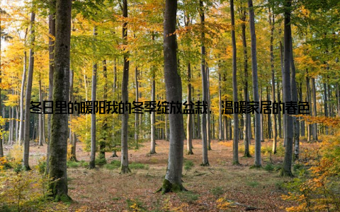 冬日里的暖阳我的冬季绽放盆栽, 温暖家居的春色故事嘿, 大家好! 今天我要和大家分享一个关于我家的冬季绽放盆栽的故事, 它不仅为我的家居生活增添了一抹春色, 更让我感受到了冬日的温暖