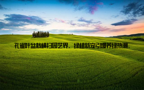 孔雀叶盆栽横扫园艺界, 绿植新宠引爆养绿热潮, 年轻人纷纷加入养绿大军近年来, 随着生活节奏的加快, 人们对生活品质的追求越来越高