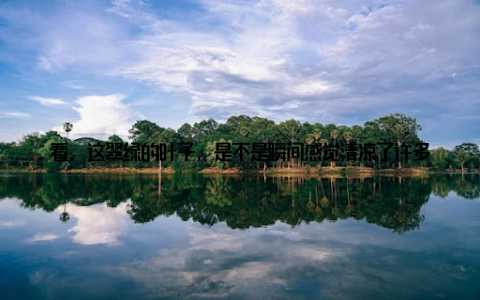 看, 这翠绿的叶子, 是不是瞬间感觉清凉了许多? 而且, 它还有着独特的造型, 就像是一把绿色的小伞, 为我的小家增添了一抹生机