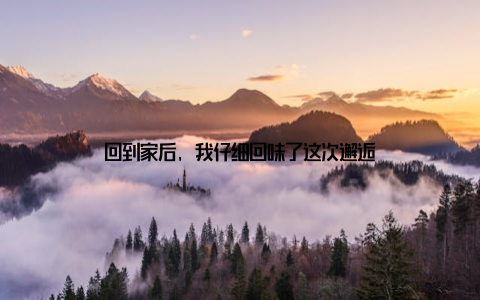 回到家后, 我仔细回味了这次邂逅