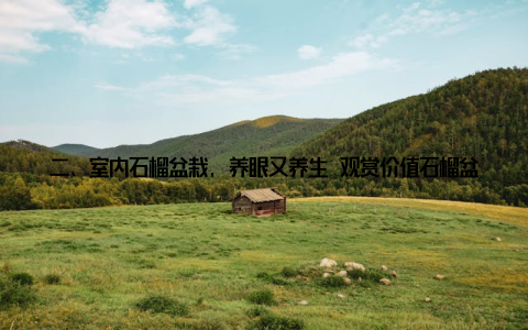 二、室内石榴盆栽, 养眼又养生 观赏价值石榴盆栽株型优美, 叶片翠绿, 花色艳丽, 具有较高的观赏价值