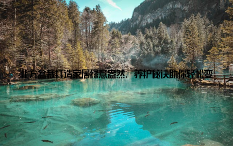北方盆栽打造家居绿意盎然, 养护秘诀助你轻松变身绿植达人随着生活节奏的加快, 越来越多的人开始注重家居环境的舒适与美观