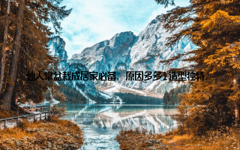 仙人掌盆栽成居家必备, 原因多多1造型独特, 美观大方仙人掌盆栽的形态各异, 有的像小兔子, 有的像小熊, 还有的像小蘑菇, 让人忍不住想亲近