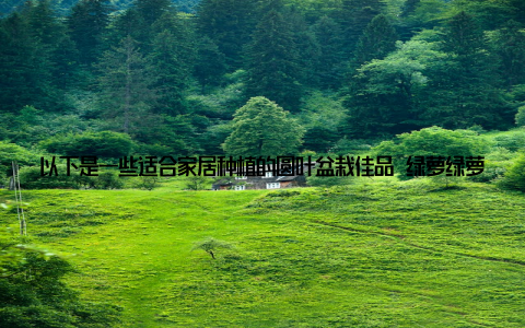 以下是一些适合家居种植的圆叶盆栽佳品 绿萝绿萝的圆叶形态优美, 生命力顽强, 即使是浇水不及时, 也能顽强生长