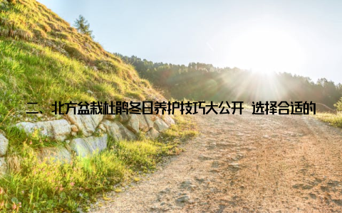 二、北方盆栽杜鹃冬日养护技巧大公开 选择合适的盆栽北方盆栽杜鹃的盆栽选择很重要, 要选择透气性好、排水性强的盆器