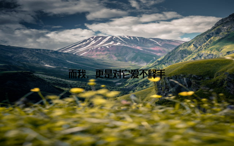 而我, 更是对它爱不释手