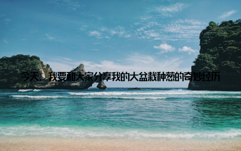 今天, 我要和大家分享我的大盆栽种葱的奇妙经历, 带你们一起感受创意农业的新风尚, 体验绿色生活的新选择