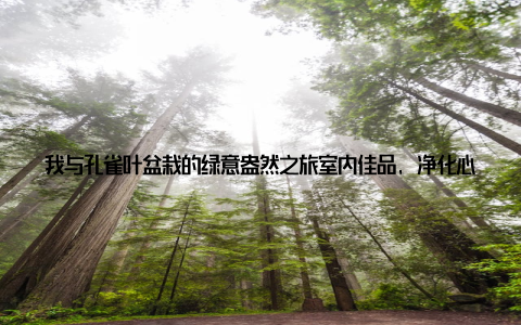 我与孔雀叶盆栽的绿意盎然之旅室内佳品, 净化心灵在这个快节奏的时代, 我们总是忙于奔波, 忽略了身边的美好