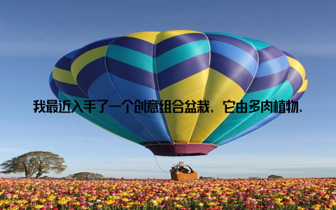 我最近入手了一个创意组合盆栽, 它由多肉植物、观叶植物和仿真花组成, 摆放在客厅里, 感觉整个空间都变得生动起来