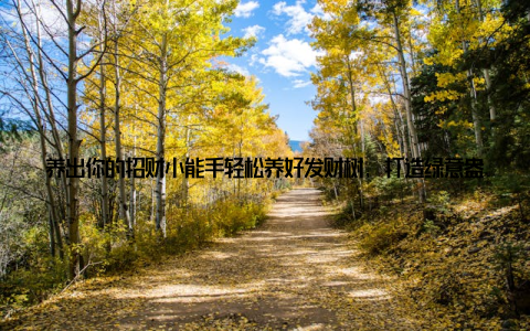 养出你的招财小能手轻松养好发财树, 打造绿意盎然的家居空间! 家, 是我们生活的港湾, 而一盆绿意盎然的发财树, 不仅能净化空气, 还能为家居增添一份生机与活力