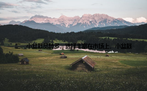 二、小盆栽品种多, 选择丰富在市场上, 小盆栽的品种繁多, 从多肉植物到观叶植物, 从水培植物到空气凤梨, 应有尽有