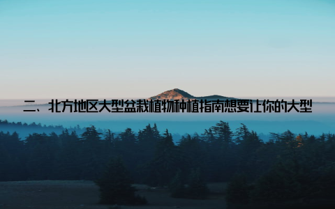 二、北方地区大型盆栽植物种植指南想要让你的大型盆栽在北方茁壮成长, 以下种植指南不可不知! 选择合适的土壤 – 北方地区土壤偏碱性, 选择酸性或中性土壤更适合大型盆栽生长