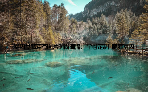 室内盆栽芦荟图片时尚潮流, 个性定制 随着室内盆栽芦荟的走红, 市场上也涌现出了各种造型独特、色彩丰富的芦荟品种