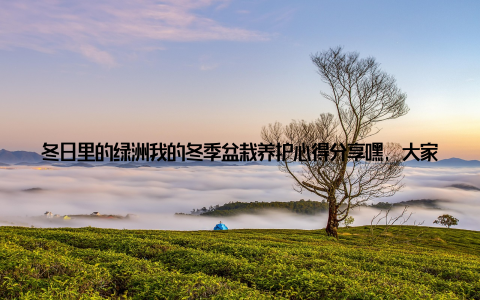 冬日里的绿洲我的冬季盆栽养护心得分享嘿, 大家好! 今天我要和大家分享一个特别的经历, 那就是我在冬天养护盆栽的心得和感受