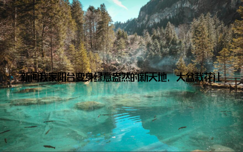 新闻我家阳台变身绿意盎然的新天地, 大盆栽花让我养眼又吸睛! 都说家是心灵的港湾, 而家的每一个角落都值得用心去打造