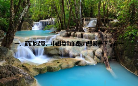 一、萌动绿意, 小树盆栽的魅力想象一下, 在一个阳光明媚的午后, 你坐在窗边, 手中捧着一盆生机勃勃的小树盆栽, 看着它那嫩绿的叶子轻轻摇曳, 仿佛在向你诉说着自然的秘密