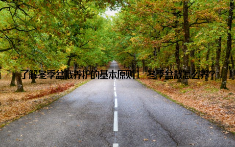 了解冬季盆栽养护的基本原则1 冬季盆栽怎么养? 冬天, 盆栽的生长速度会减缓, 因此要适当调整养护方法
