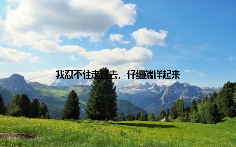 我忍不住走过去, 仔细端详起来