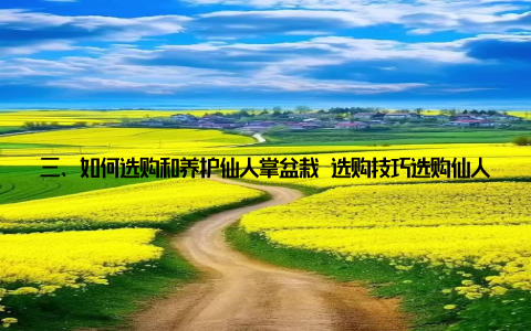 三、如何选购和养护仙人掌盆栽 选购技巧选购仙人掌盆栽时, 应关注以下几个方面1外观选择形态优美、颜色鲜艳的仙人掌盆栽