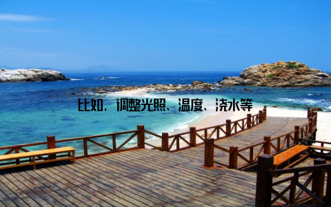 比如, 调整光照、温度、浇水等