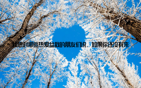 我想对那些热爱盆栽的朋友们说, 如果你还没有来过中山盆栽批发市场, 那就赶快来吧! 这里一定会给你带来意想不到的惊喜和快乐! 让我们一起, 在这个一站式选购天堂里, 寻找属于自己的那份绿色美好!